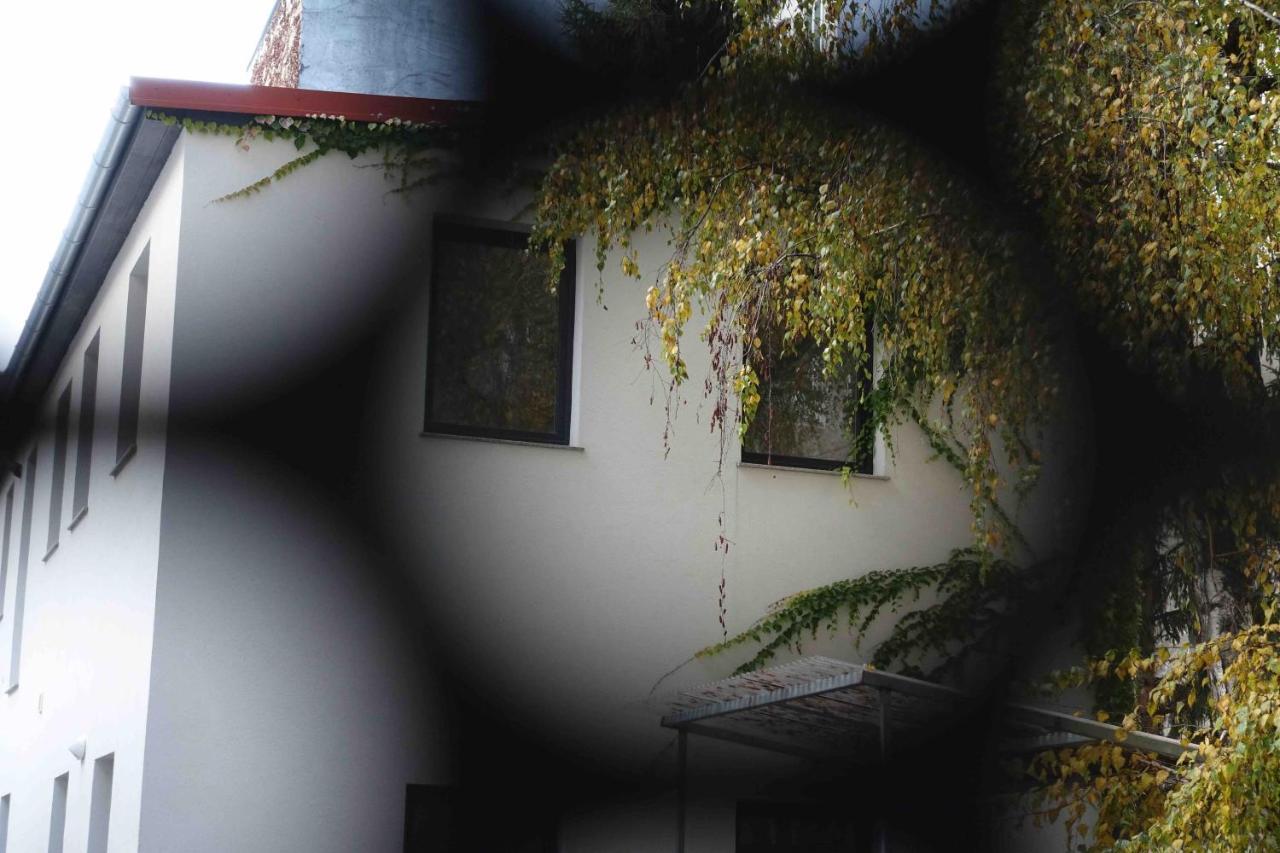 Studio u Parkplatz, zentrale Ruhelage neben Grünoase Apartamento Viena Exterior foto